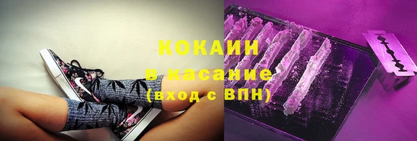 ГАЛЛЮЦИНОГЕННЫЕ ГРИБЫ Корсаков