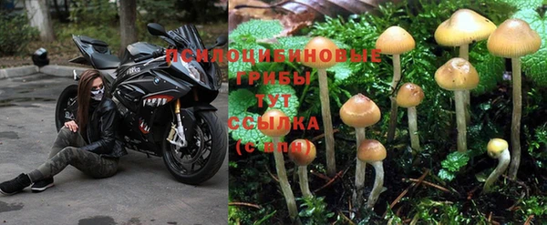 прущий лед Краснотурьинск