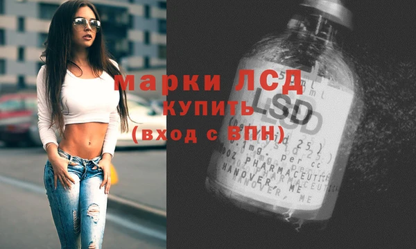 кокс Гатчина