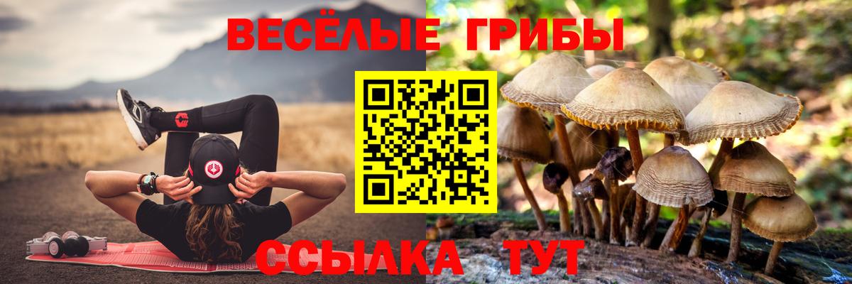Галлюциногенные грибы мухоморы  Галлюциногенные грибы Psilocybe  Кохма  Вход с VPN 